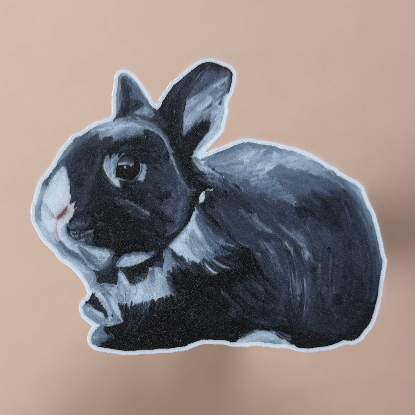 Die-Cut Vinyl Sticker - Sobey