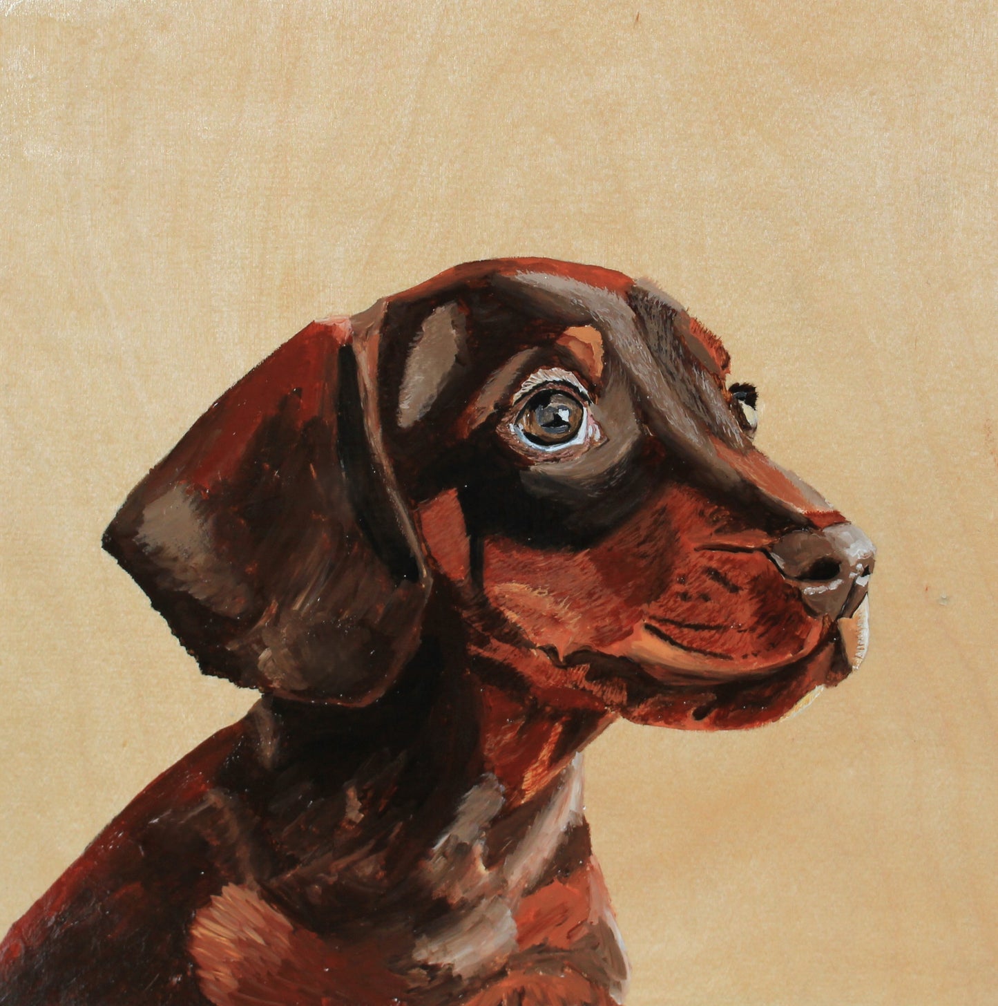 Custom Pet Portrait