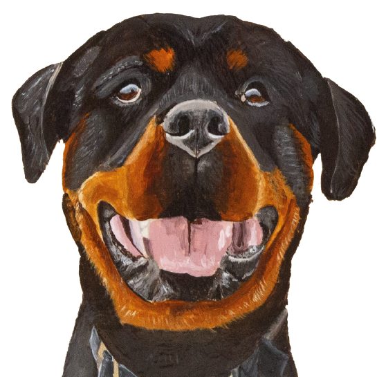 Tasselled Bookmark - Gibson the Rottweiler