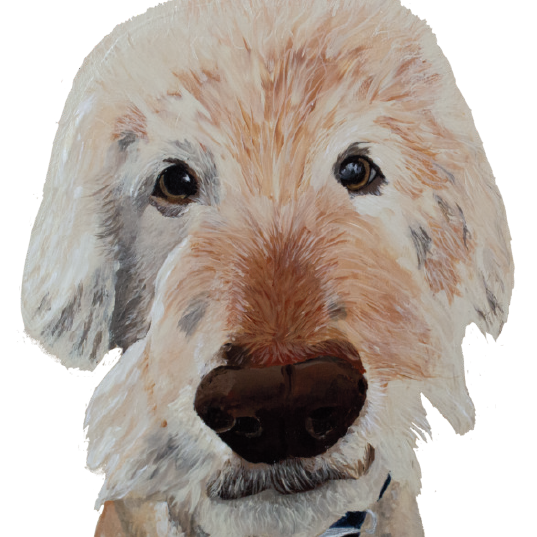 Tasselled Bookmark - Marty the Golden Doodle