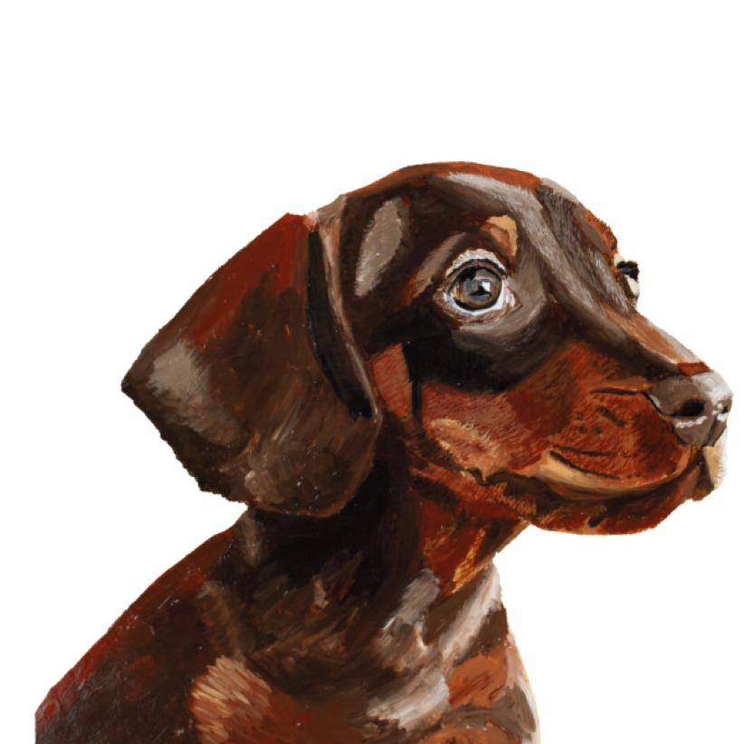 Tasselled Bookmark - Otis the Dachshund