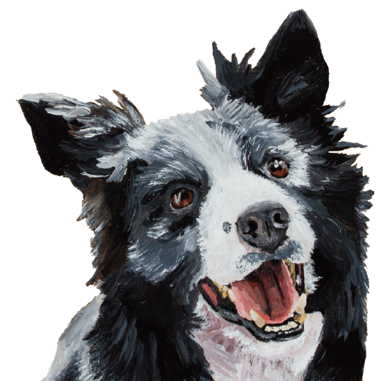 Tasselled Bookmark - Shep the Border Collie