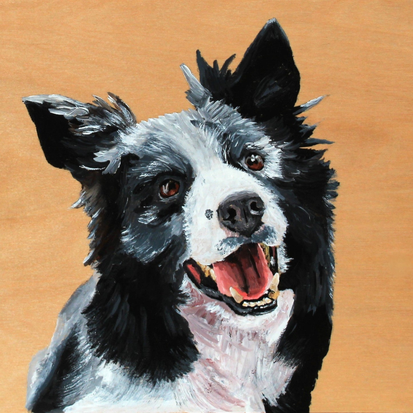 Border Collie Acrylic Painting