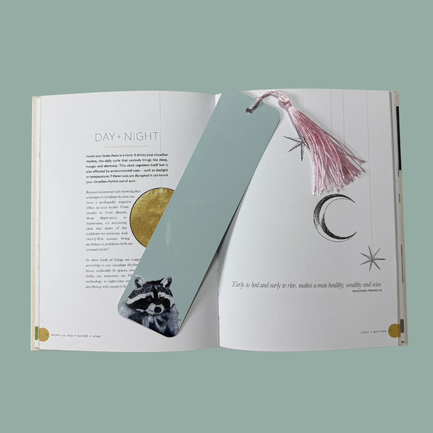 Tasselled Bookmark - Bert the Raccoon