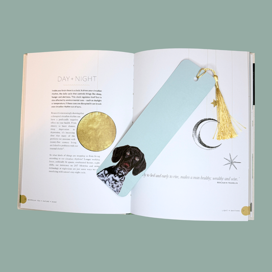 Open book with decorative bookmarks featuring a dog illustration and celestial designs on a light green background.