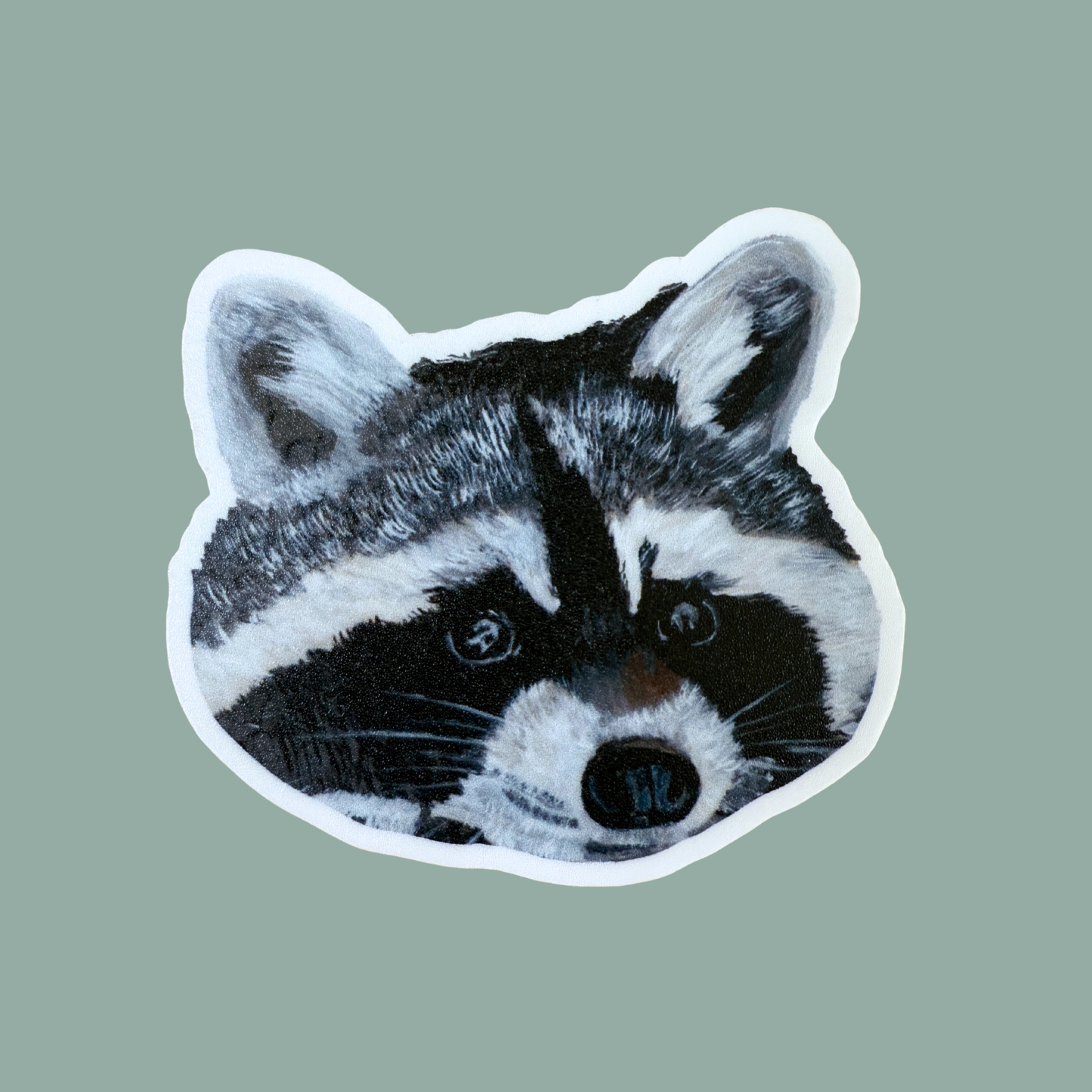 Sticker of a painted raccoon face on a solid background