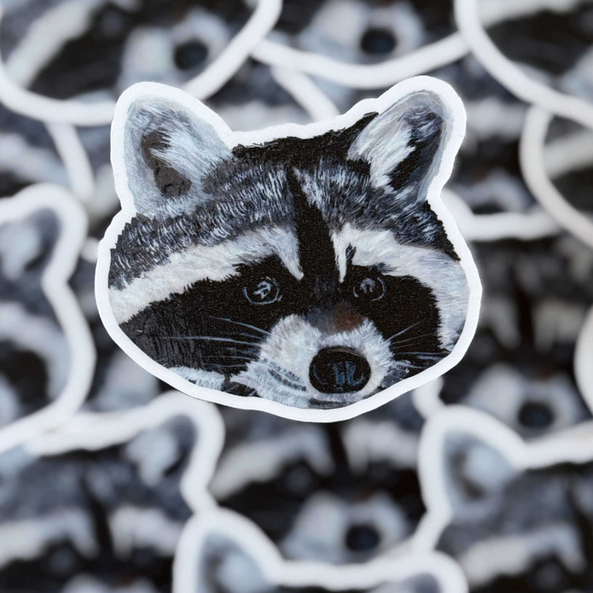 Sticker of a raccoon face on a background of similar raccoon stickers