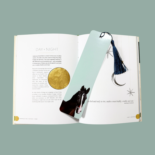 Tasselled Bookmark - Chad the Horse