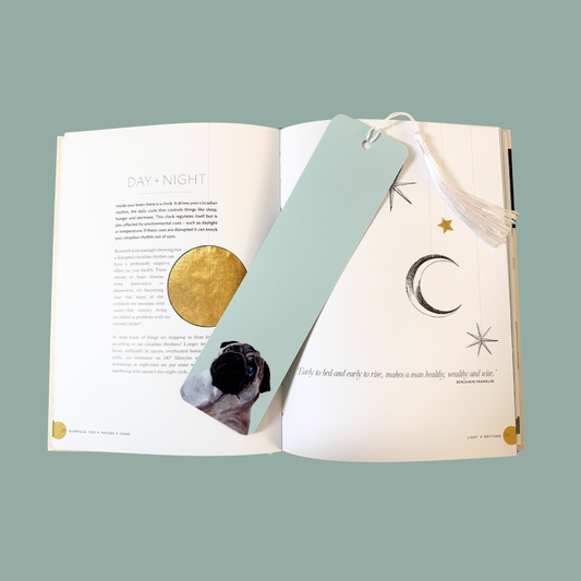 Open book with a bookmark featuring a pug painting on a turquoise background. The bookmark has a white tassel.