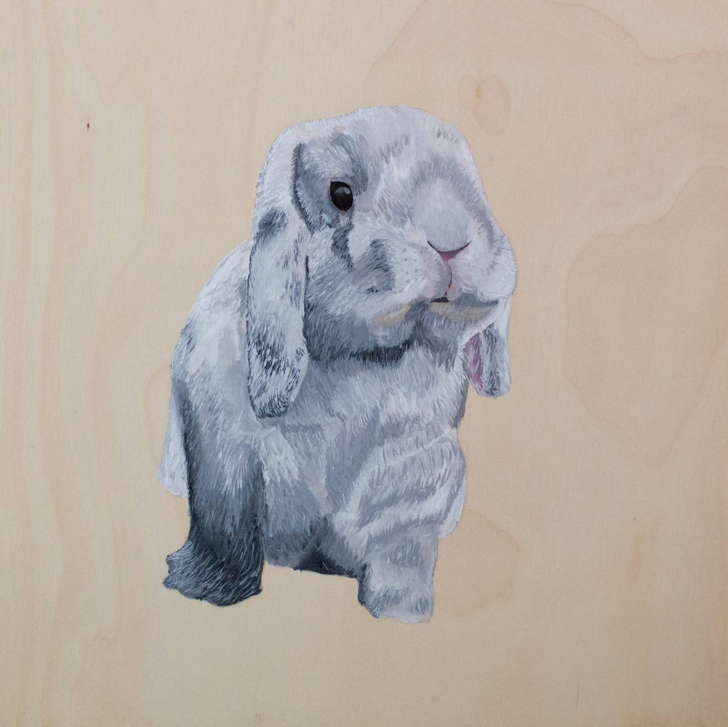 Custom Pet Portrait