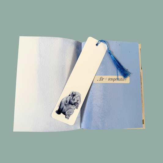 Tasselled Bookmark - Mochi the Holland Lop
