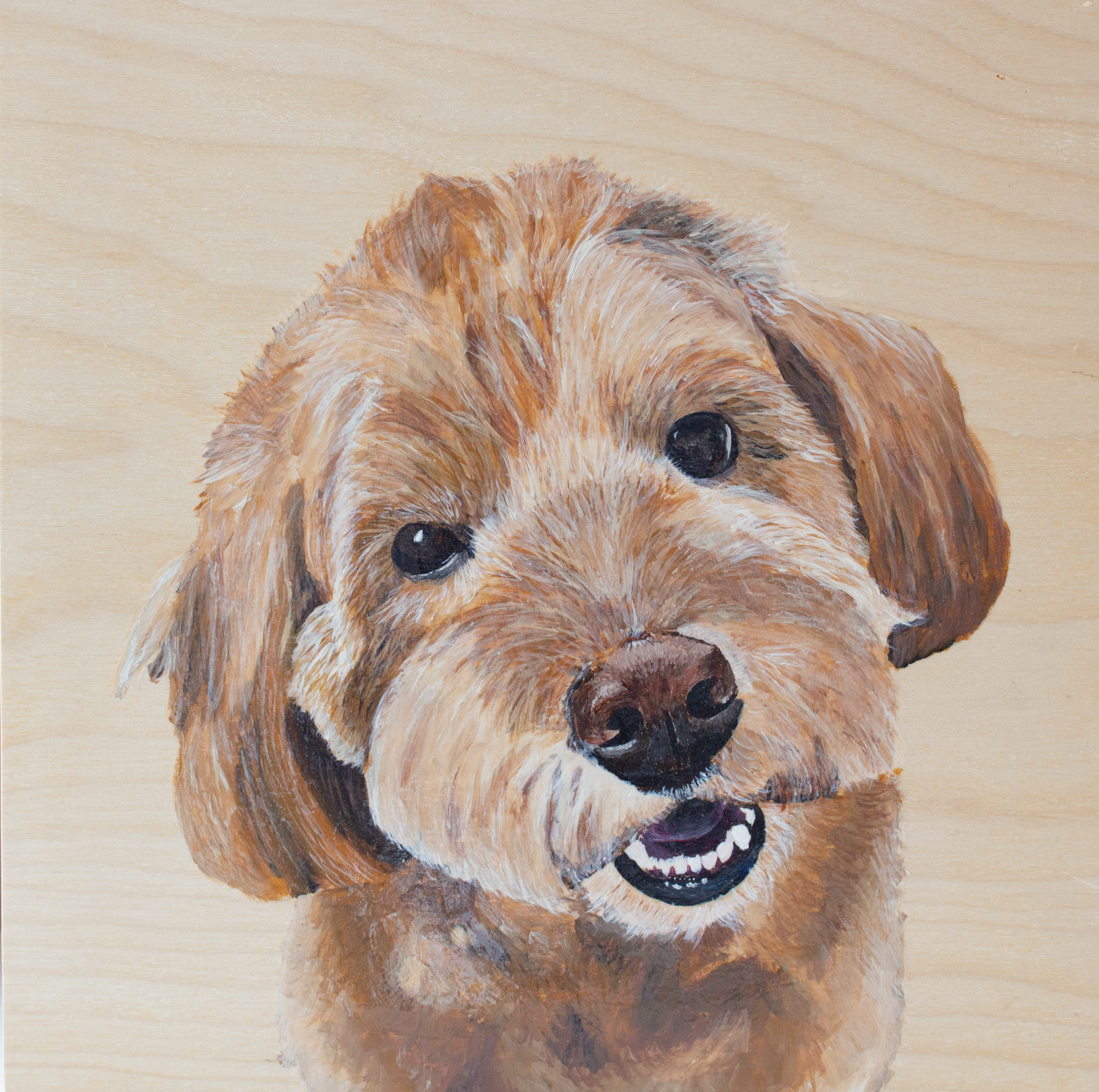 Custom Pet Portrait