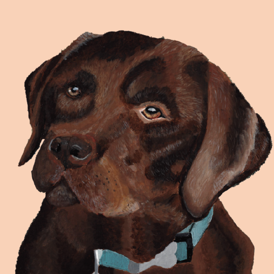 Painting of a chocolate lab on a peach background