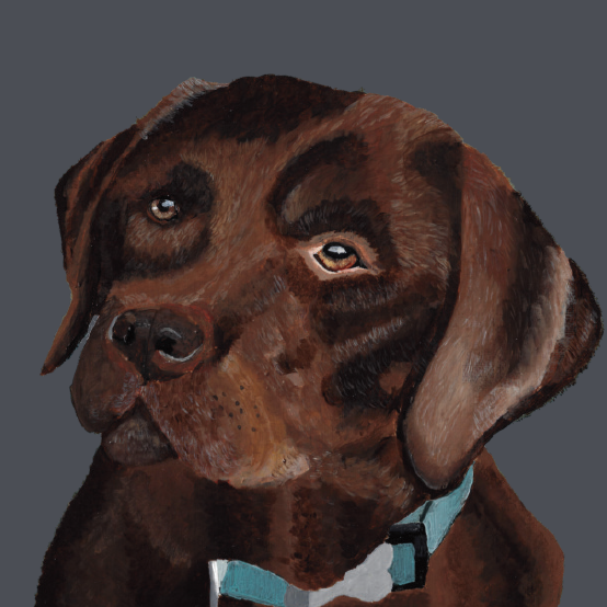 Painting of chocolate lab on a navy background