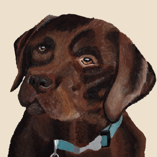 Painting of a chocolate lab on a cream background