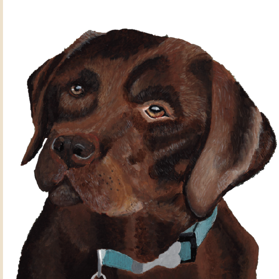 Painting of a chocolate lab on a white background