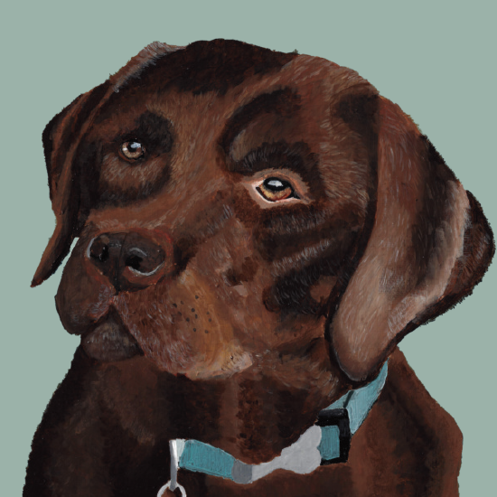 Painting of a chocolate lab on a teal background