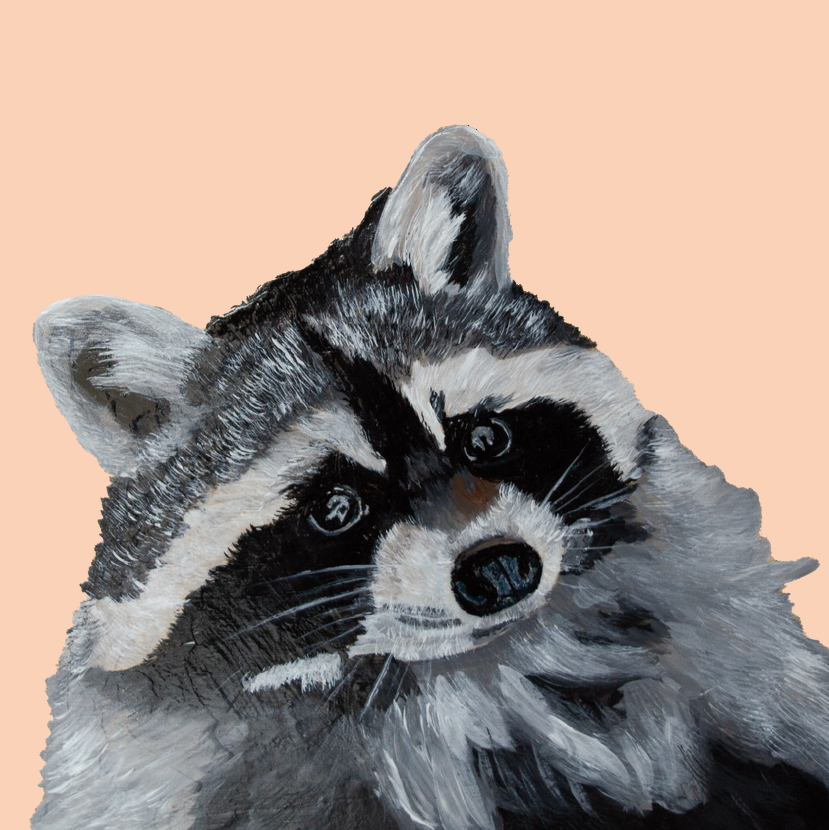 Tasselled Bookmark - Bert the Raccoon