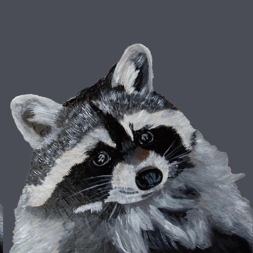 Tasselled Bookmark - Bert the Raccoon