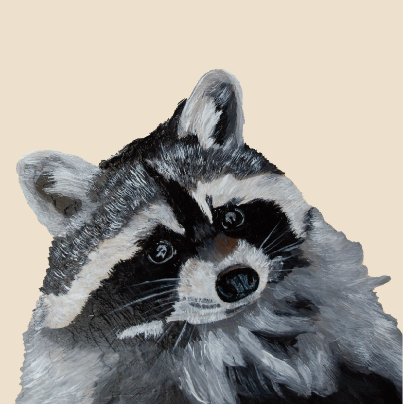 Tasselled Bookmark - Bert the Raccoon