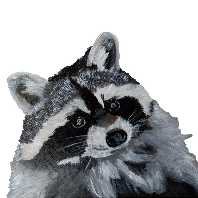 Tasselled Bookmark - Bert the Raccoon