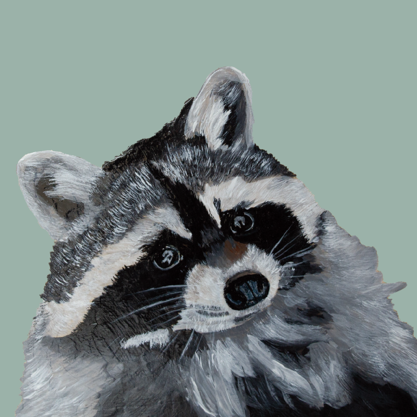 Tasselled Bookmark - Bert the Raccoon