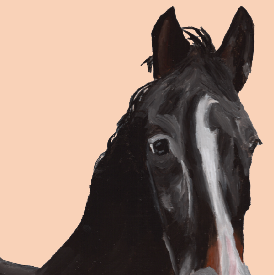 Tasselled Bookmark - Chad the Horse