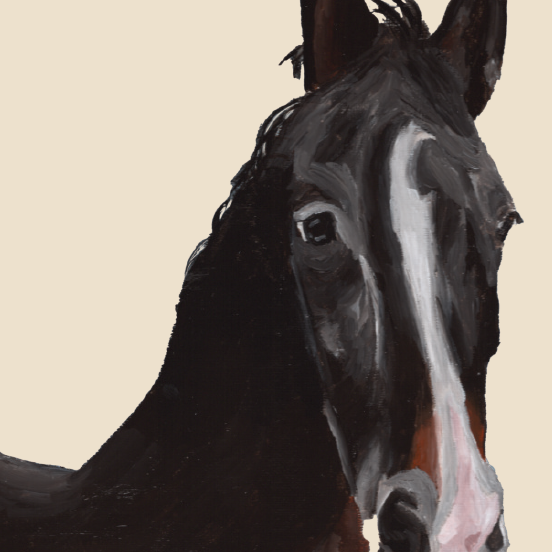 Tasselled Bookmark - Chad the Horse