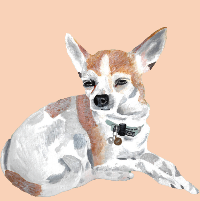 Painting of a chihuahua with a collar on a peach background