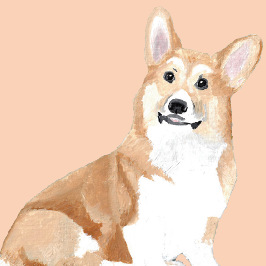 Painting of a corgi dog on a peach background