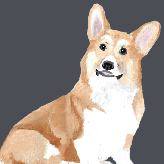 Painting of a corgi dog on a navy background