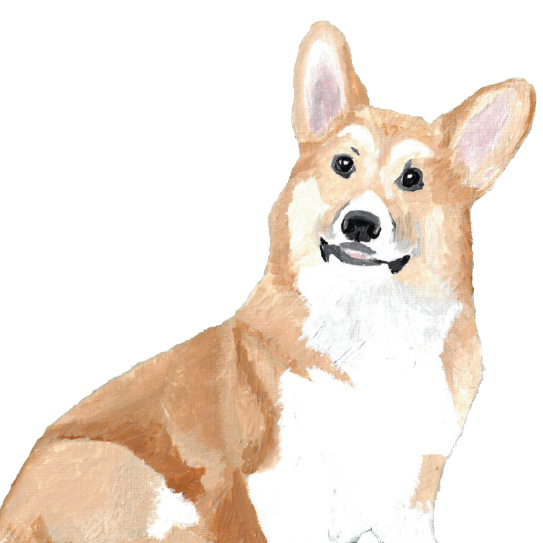 Painting of a corgi dog on a white background