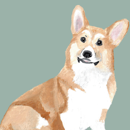 Painting of a corgi dog with a teal background