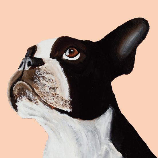 Tasselled Bookmark - Luna the Boston Terrier
