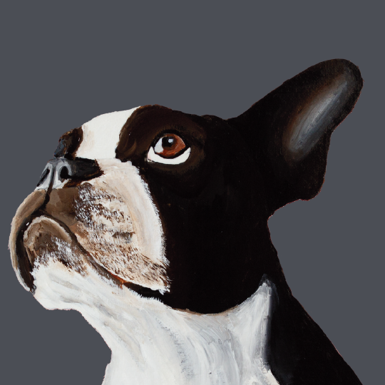 Tasselled Bookmark - Luna the Boston Terrier