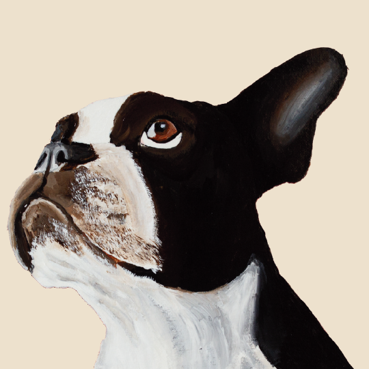 Tasselled Bookmark - Luna the Boston Terrier