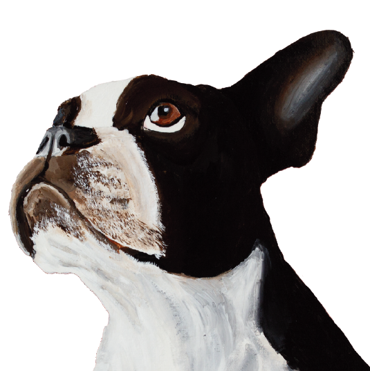 Tasselled Bookmark - Luna the Boston Terrier