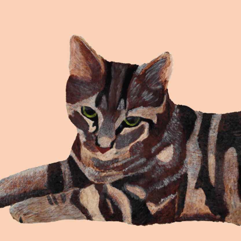 Tasselled Bookmark - Marley the Tabby Cat