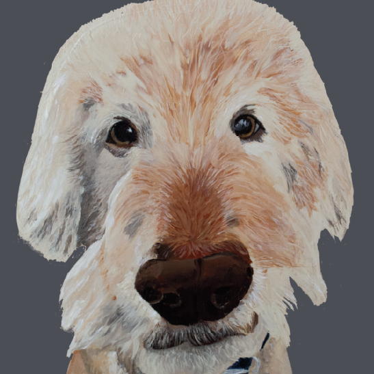 Tasselled Bookmark - Marty the Golden Doodle