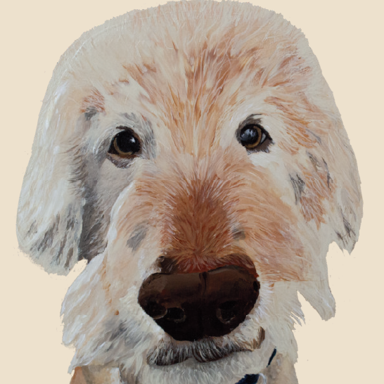 Tasselled Bookmark - Marty the Golden Doodle