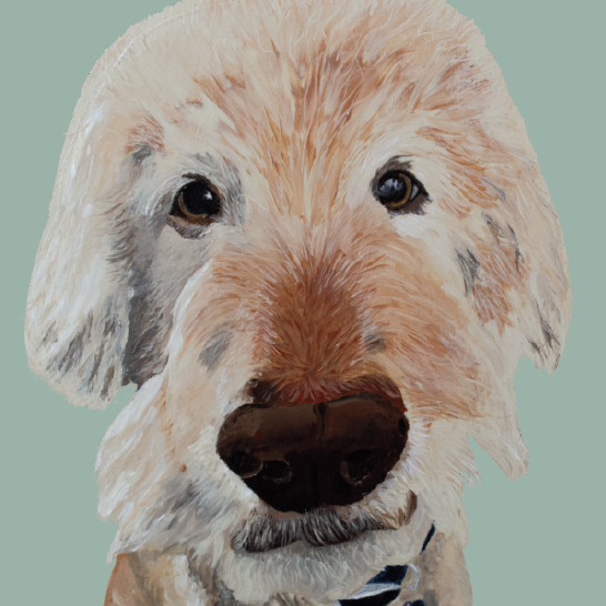 Tasselled Bookmark - Marty the Golden Doodle