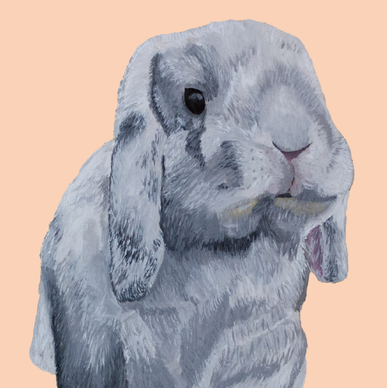 Tasselled Bookmark - Mochi the Holland Lop