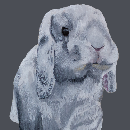 Tasselled Bookmark - Mochi the Holland Lop