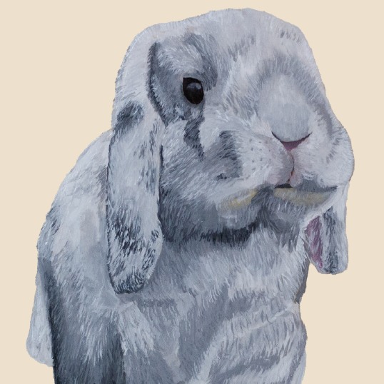 Tasselled Bookmark - Mochi the Holland Lop