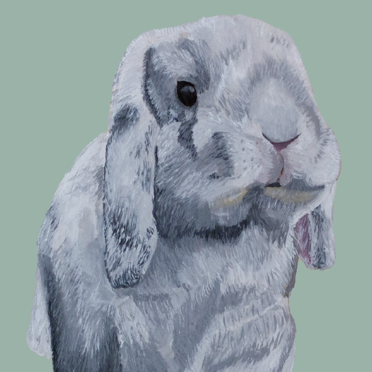 Tasselled Bookmark - Mochi the Holland Lop
