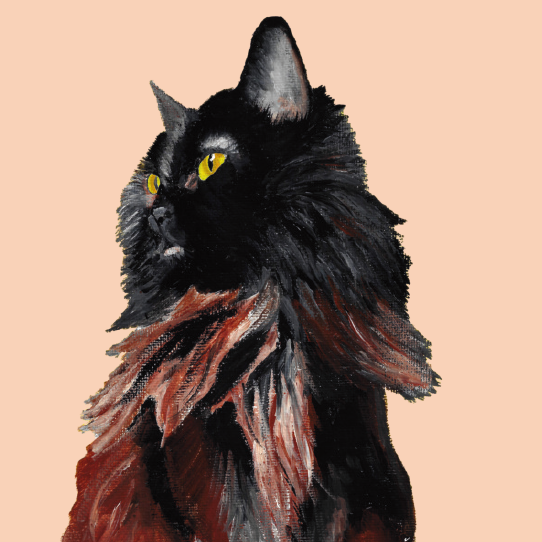 Tasselled Bookmark - Mushi the Cat