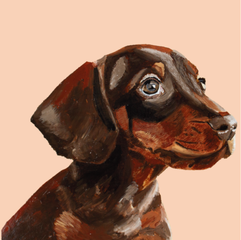 Tasselled Bookmark - Otis the Dachshund