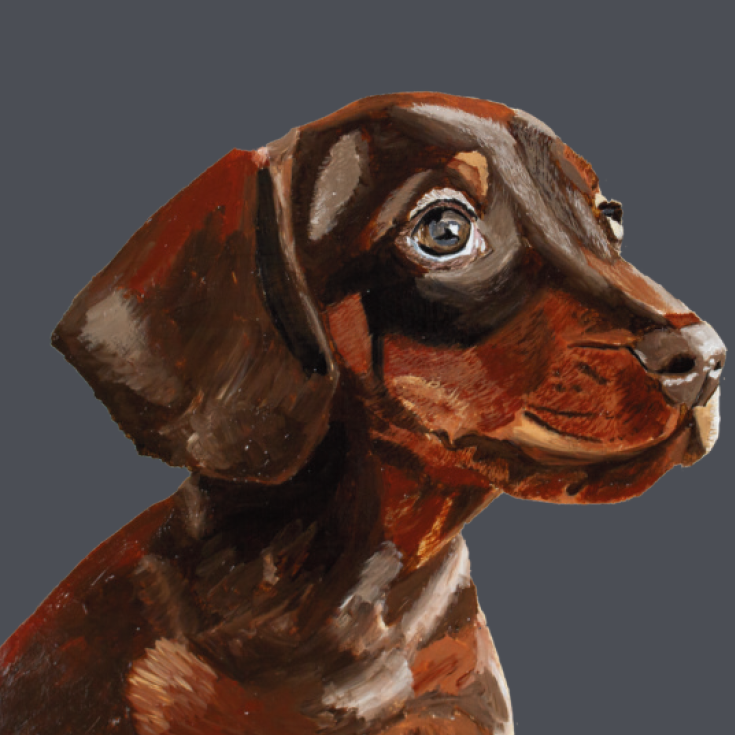 Tasselled Bookmark - Otis the Dachshund