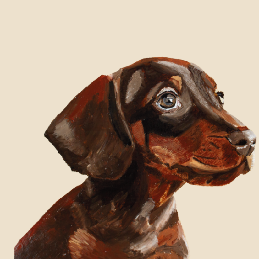 Tasselled Bookmark - Otis the Dachshund