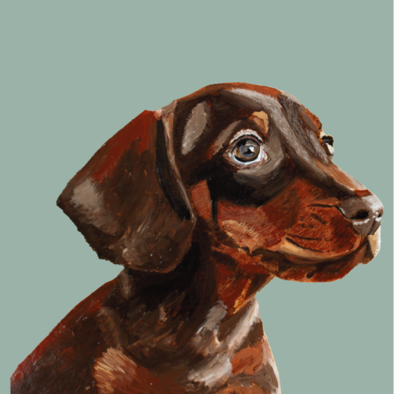 Tasselled Bookmark - Otis the Dachshund